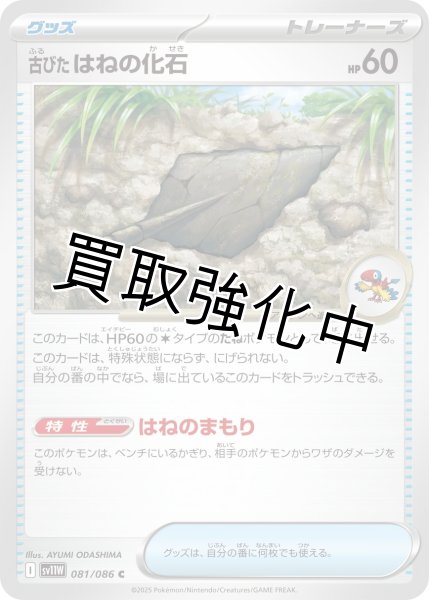 画像1: 古びたはねの化石【C】{081/086}[SV11W] (1)