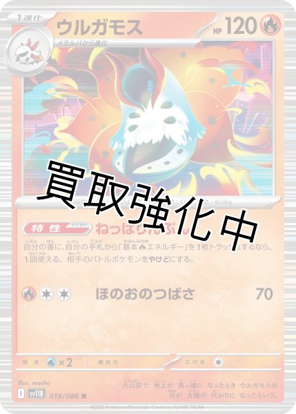 画像1: ウルガモス【R】{019/086}[SV11B] (1)