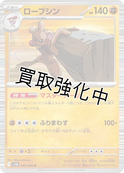 画像1: ローブシン【R】{052/086}[SV11B] (1)