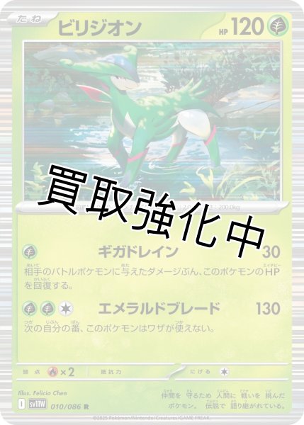 画像1: ビリジオン【R】{010/086}[SV11W] (1)