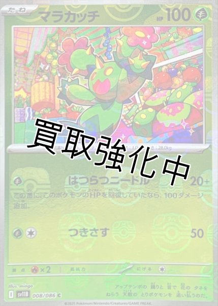 画像1: マラカッチ(マスターボールミラー)【C】{008/086}[SV11B] (1)