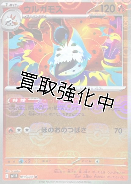 画像1: ウルガモス(マスターボールミラー)【R】{019/086}[SV11B] (1)