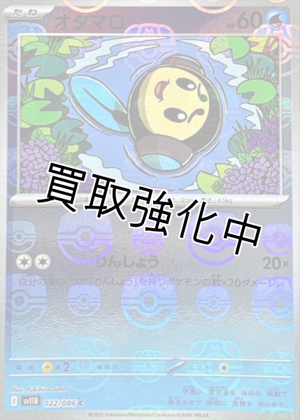 画像1: オタマロ(マスターボールミラー)【C】{022/086}[SV11B] (1)