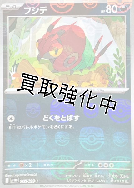 画像1: フシデ(マスターボールミラー)【C】{057/086}[SV11B] (1)