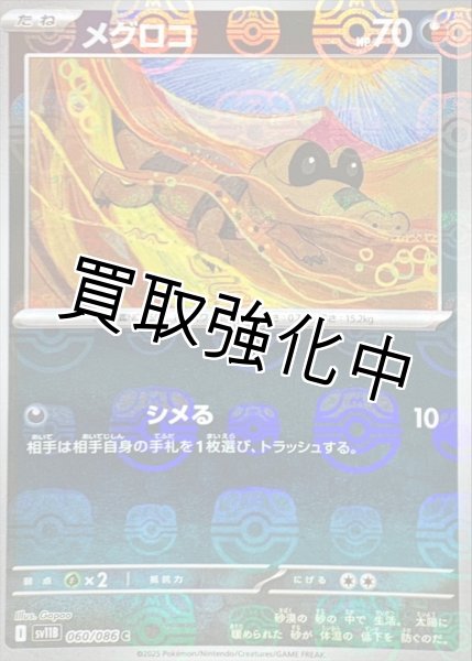 画像1: メグロコ(マスターボールミラー)【C】{060/086}[SV11B] (1)