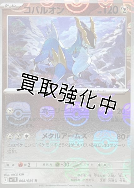 画像1: コバルオン(マスターボールミラー)【R】{068/086}[SV11B] (1)