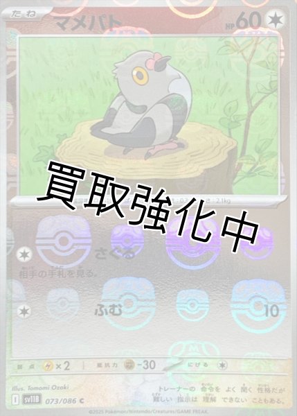 画像1: マメパト(マスターボールミラー)【C】{073/086}[SV11B] (1)