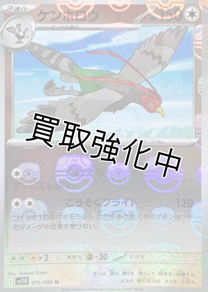 画像1: ケンホロウ(マスターボールミラー)【U】{075/086}[SV11B] (1)