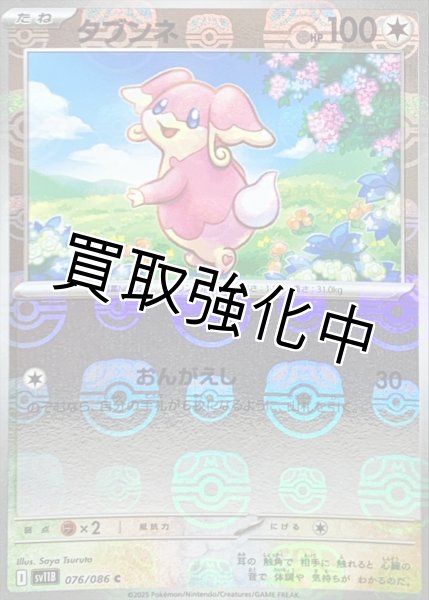 画像1: タブンネ(マスターボールミラー)【C】{076/086}[SV11B] (1)