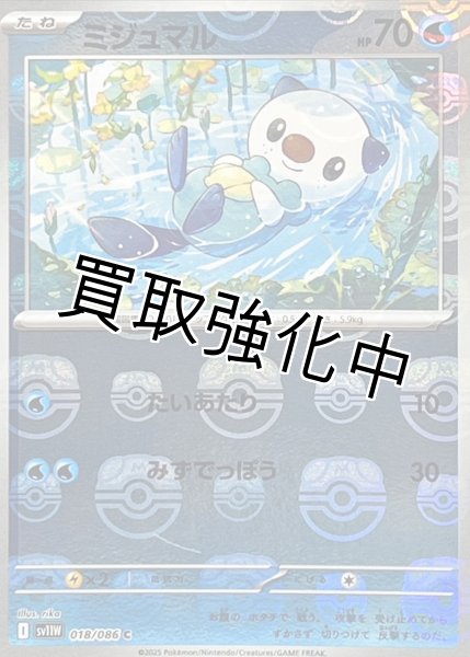 画像1: ミジュマル(マスターボールミラー)【C】{018/086}[SV11W] (1)