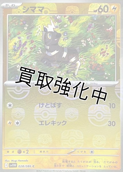 画像1: シママ(マスターボールミラー)【C】{028/086}[SV11W] (1)