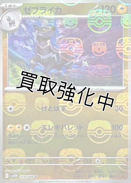 画像1: ゼブライカ(マスターボールミラー)【U】{029/086}[SV11W] (1)