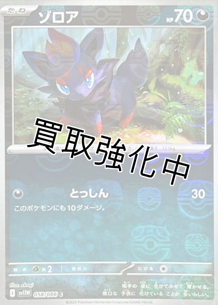 画像1: ゾロア(マスターボールミラー)【C】{058/086}[SV11W] (1)