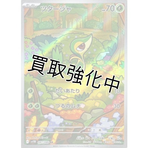 画像1: 【状態B】ツタージャ【AR】{087/086}[SV11B] (1)