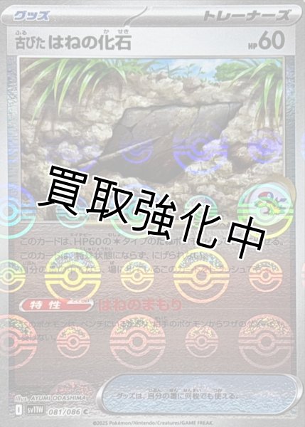 画像1: 古びたはねの化石(モンスターボールミラー)【C】{081/086}[SV11W] (1)