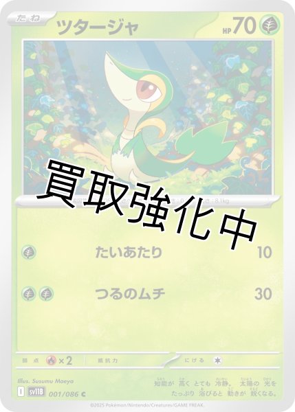 画像1: ツタージャ【C】{001/086}[SV11B] (1)