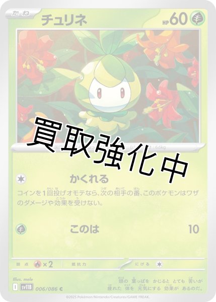 画像1: チュリネ【C】{006/086}[SV11B] (1)