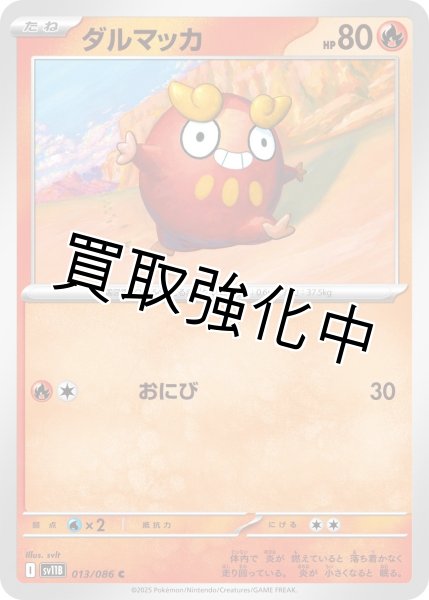 画像1: ダルマッカ【C】{013/086}[SV11B] (1)