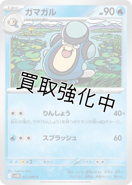 画像1: ガマガル【C】{023/086}[SV11B] (1)