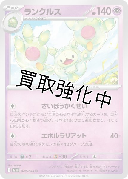 画像1: ランクルス【U】{042/086}[SV11B] (1)