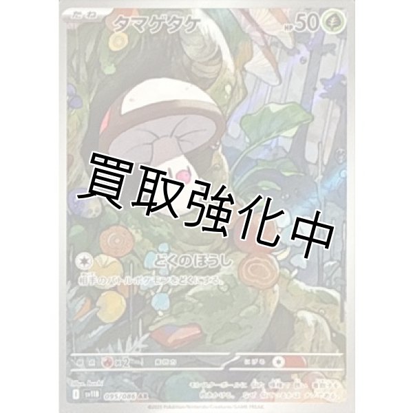 画像1: 【状態B】タマゲタケ【AR】{095/086}[SV11B] (1)