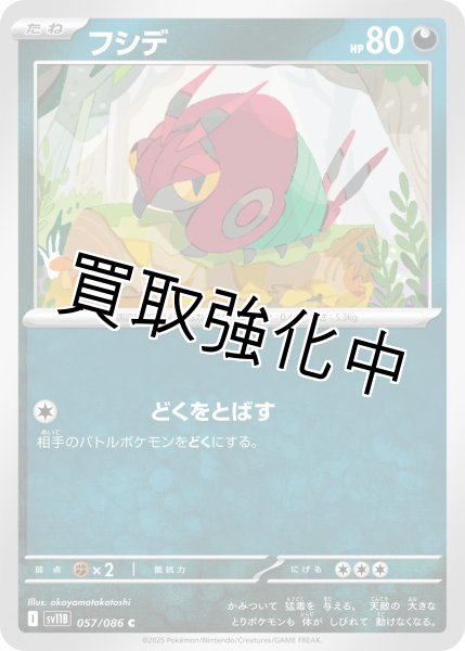 画像1: フシデ【C】{057/086}[SV11B] (1)