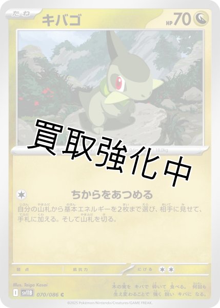 画像1: キバゴ【C】{070/086}[SV11B] (1)