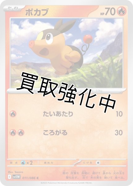 画像1: ポカブ【C】{011/086}[SV11W] (1)