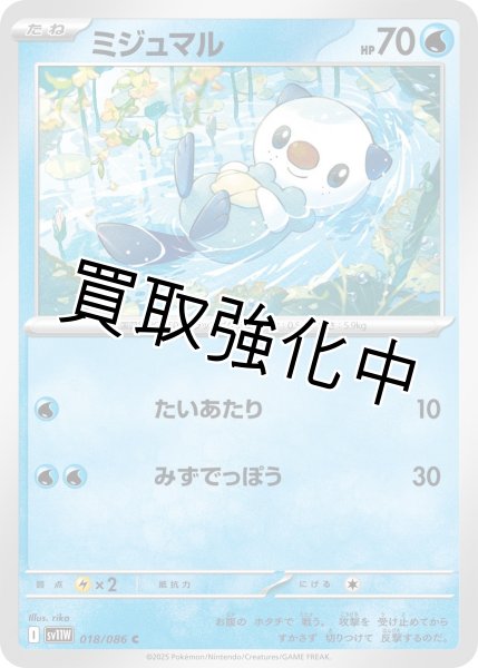 画像1: ミジュマル【C】{018/086}[SV11W] (1)