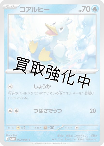 画像1: コアルヒー【C】{022/086}[SV11W] (1)