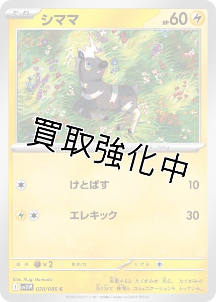 画像1: シママ【C】{028/086}[SV11W] (1)