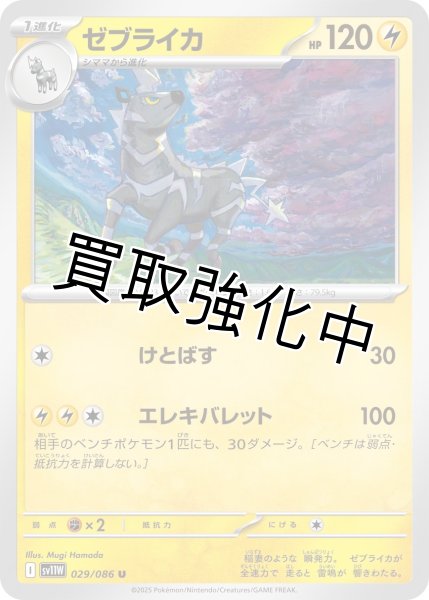 画像1: ゼブライカ【U】{029/086}[SV11W] (1)