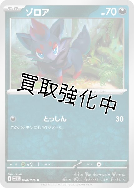 画像1: ゾロア【C】{058/086}[SV11W] (1)
