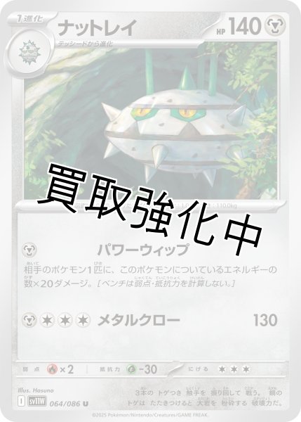 画像1: ナットレイ【U】{064/086}[SV11W] (1)