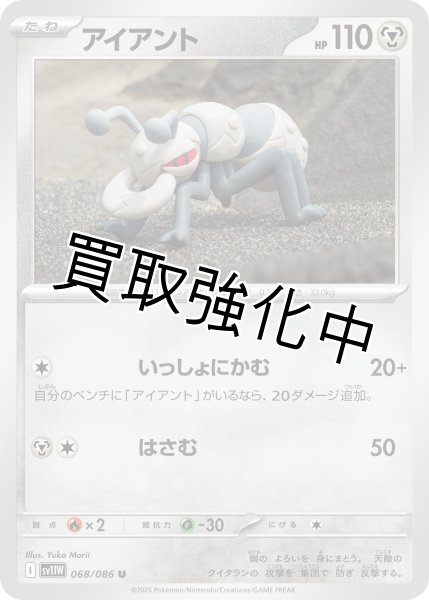 画像1: アイアント【U】{068/086}[SV11W] (1)