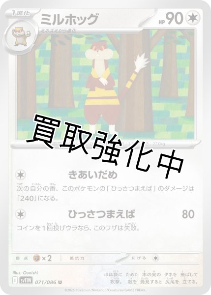画像1: ミルホッグ【U】{071/086}[SV11W] (1)