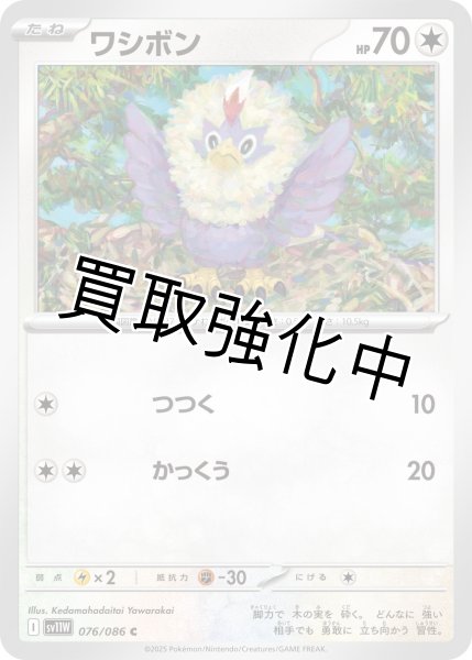 画像1: ワシボン【C】{076/086}[SV11W] (1)