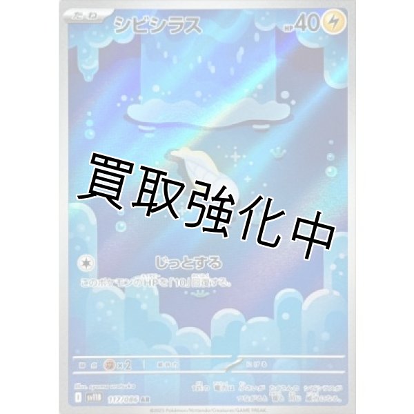 画像1: シビシラス【AR】{117/086}[SV11B] (1)